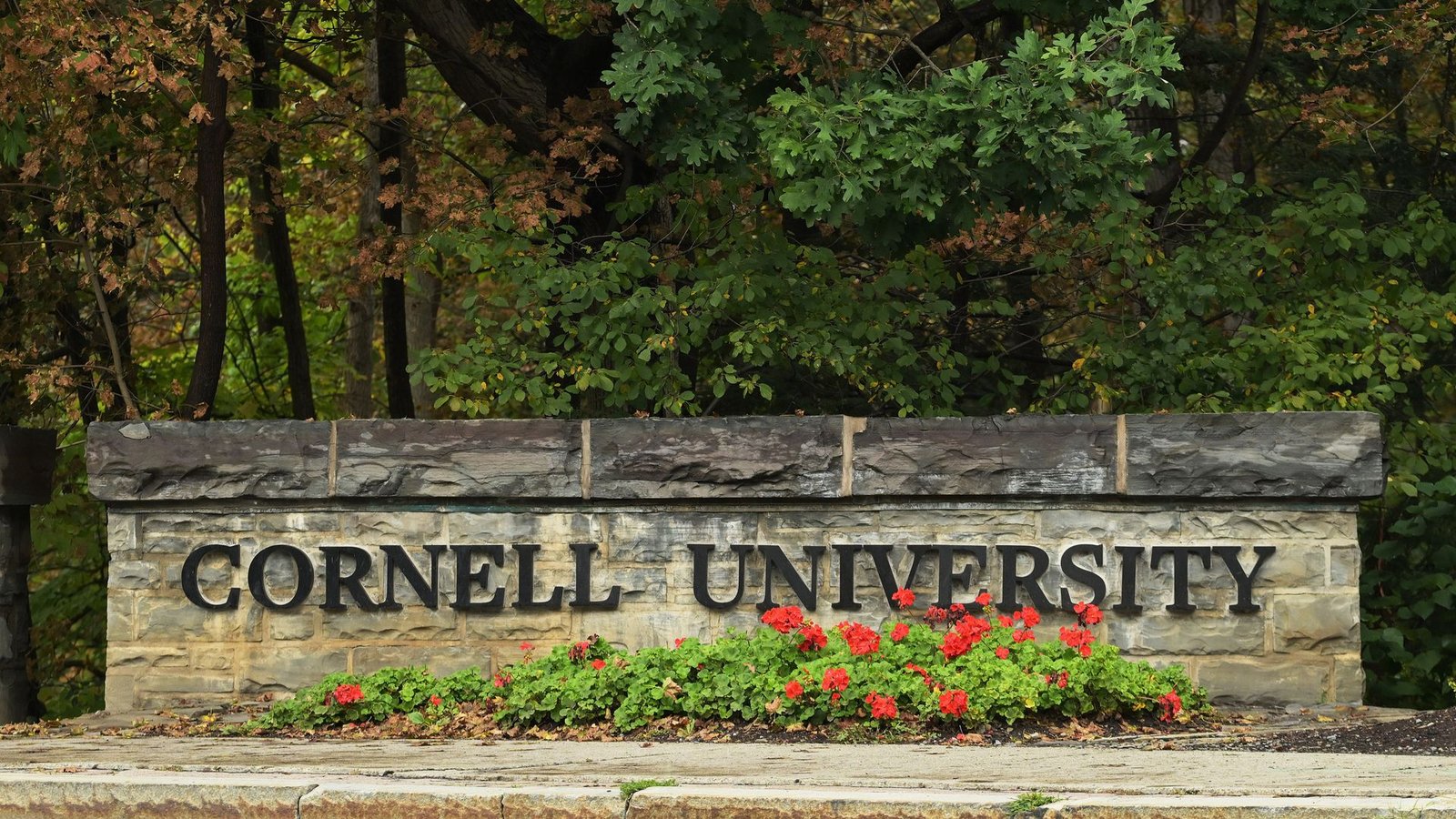 Cornell University bans frat parties after alleged campus gang rape